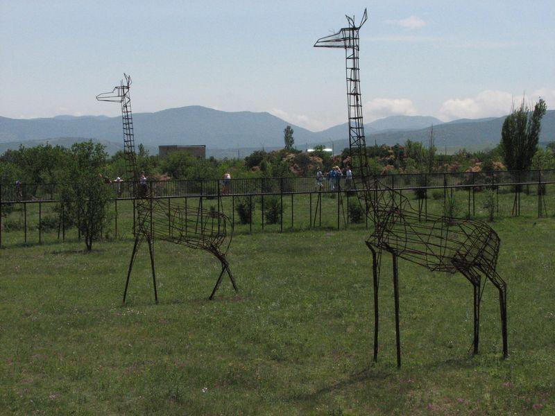 001 Karkasi skulptur zhirafov v Safari-parke tajgan on zhe Park  lvov