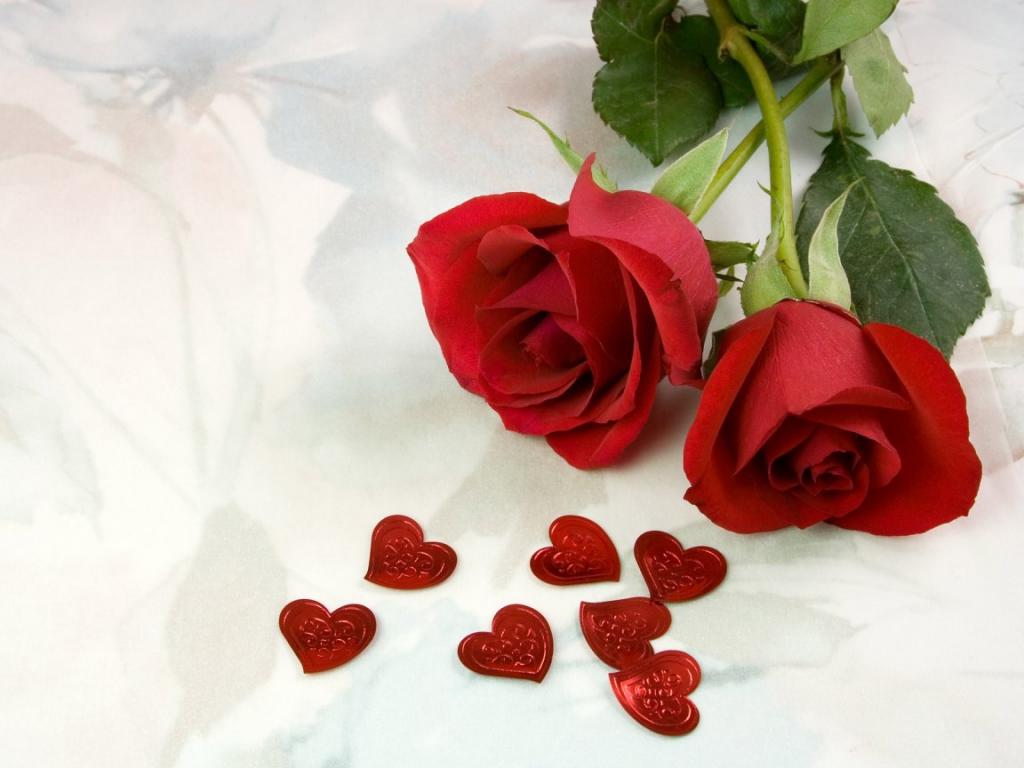 Rose05