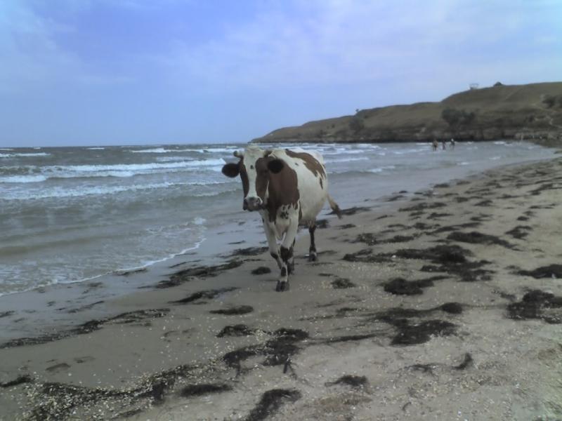 Зарисовки крыма