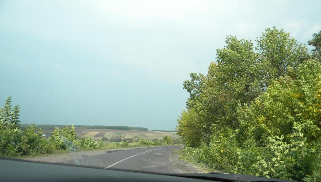 DSCN2114