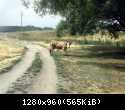 IMGA0826