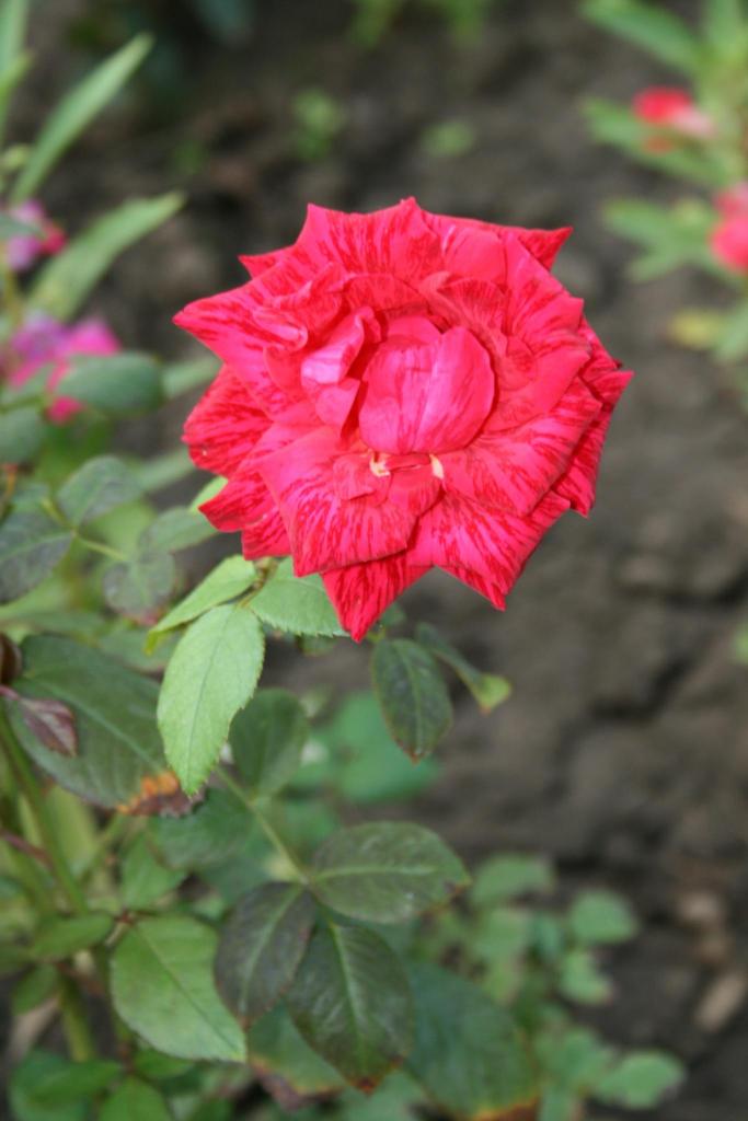 2012-09-25 18-32-38