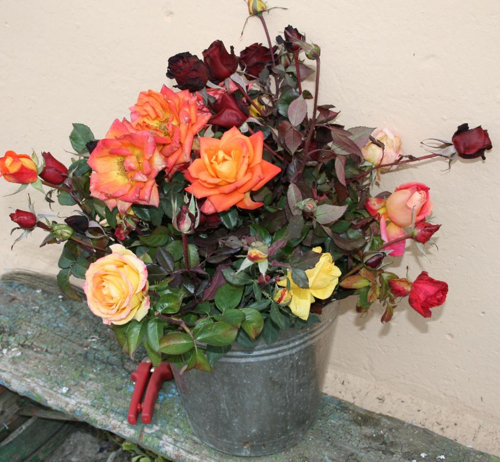 Букет в ведре ;-)