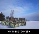 стадо2