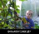 getImage