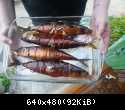 getImage3