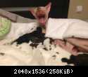 IMG 2725