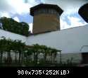 DSC07137