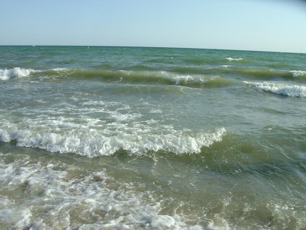 DSC07351