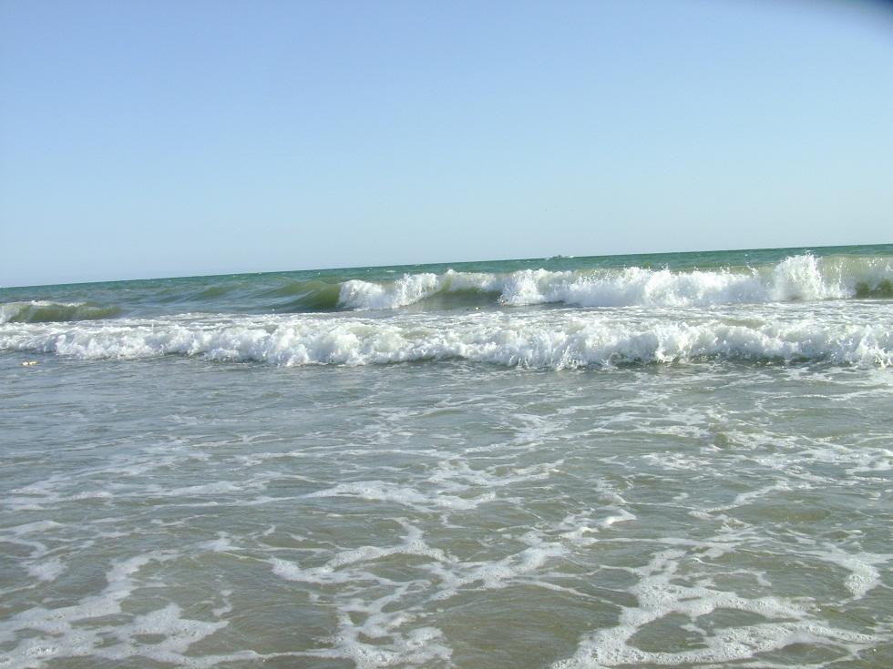 DSC07356