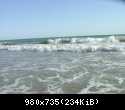 DSC07356