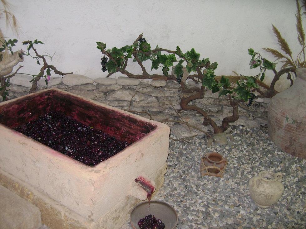 DSC07412