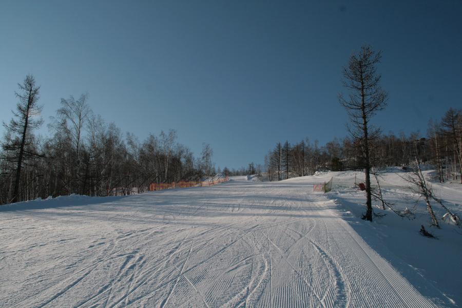 IMG 00007