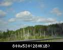 DSC 0968