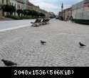 Копия IMG 7146.jpg
