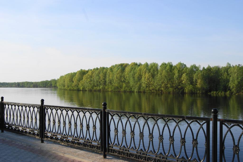 DSC00213