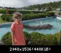DSCF0277