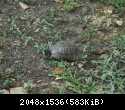 DSCF0645