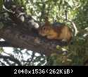 DSCF0713