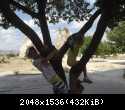DSCF1156