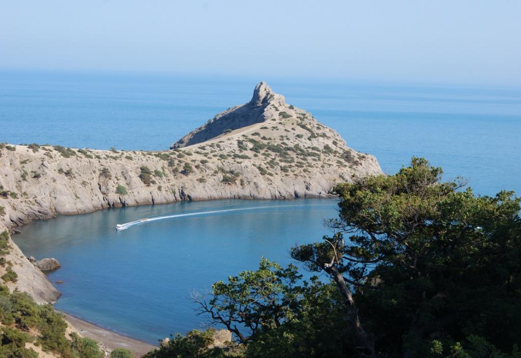 КапчикСзади.JPG