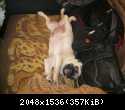 IMG 2597[1]