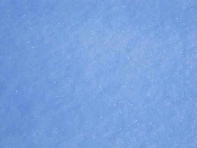 IMG 3391