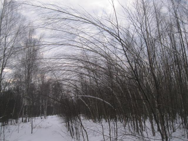 IMG 3348