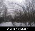 IMG 3348