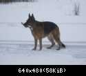 IMG 3351