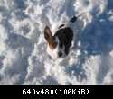 IMG 3373