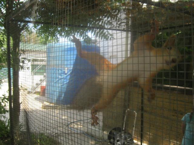 IMG 3908