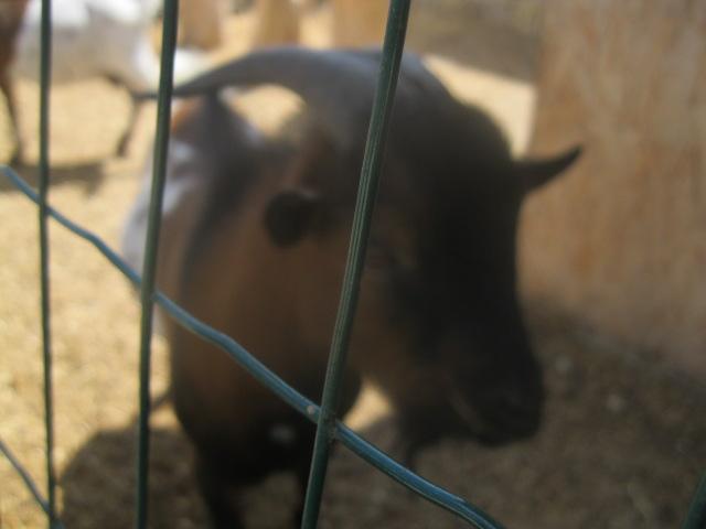 IMG 3914