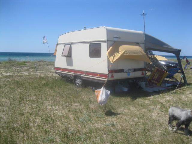 IMG 3966