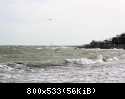 IMG 3454 DxO
