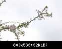 IMG 3688 DxO