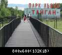 001 Mostki v Safari-parke tajgan on zhe Park  lvov