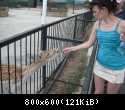 012 Vera kormit pyatnistogo olenya v Safari-parke Tajgan on zhe Park lvov