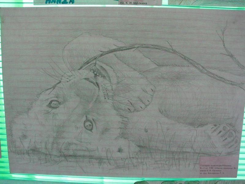 021 Detskij risunok lvenka v kafe Safari-parka Tajgan on zhe Park lvov