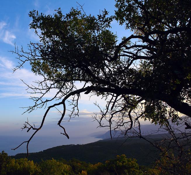 Осень в крыму