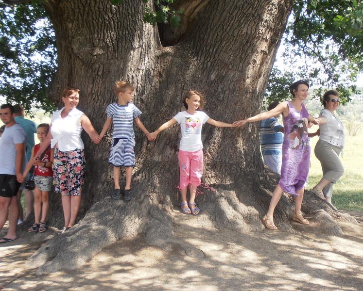 Vstrecha foruma na Beloj skale 2012 popitka oxvatit stvol Suvorovskogo duba 2