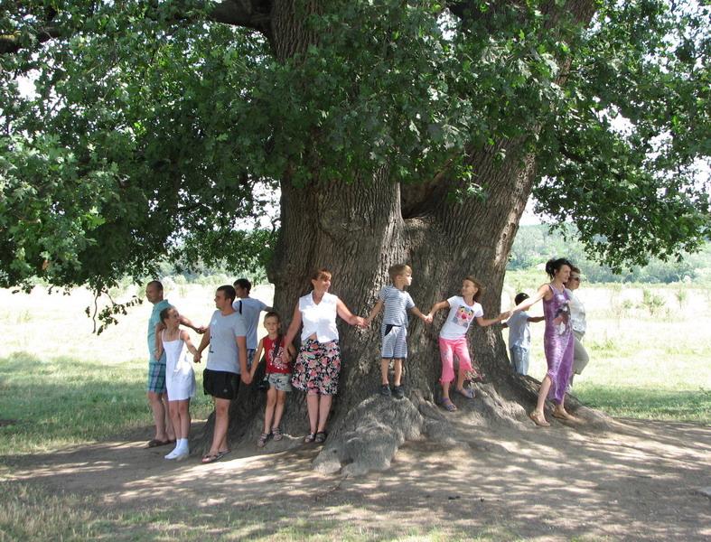 Vstrecha foruma na Beloj skale 2012 popitka oxvatit stvol Suvorovskogo duba 1