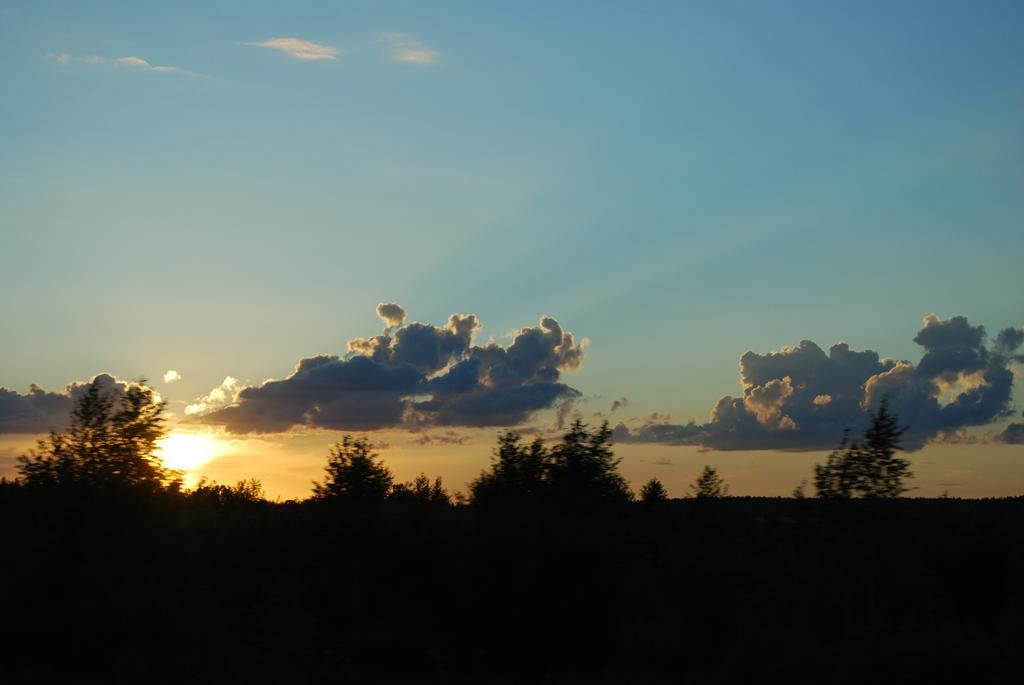 DSC 5231
