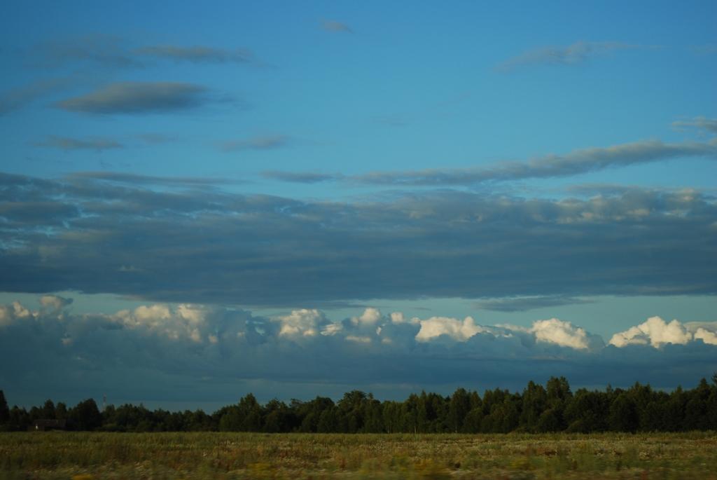 DSC 5205