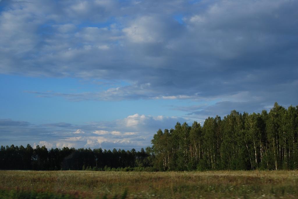 DSC 5185