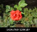 DSCN0463