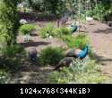 DSCN0401