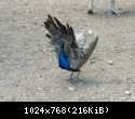 DSCN0398