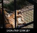 DSCN0379