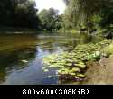 IMG 0523